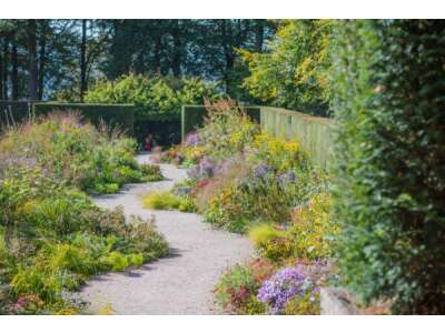 Naturbelassenen Garten anlegen - die pflegeleichte Natur-Oase