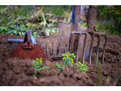 Gartenwerkzeug selbst reinigen, pflegen und schärfen