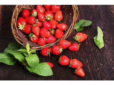 Erdbeeren - Erdbeeren kultivieren, lagern und zubereiten | Blog | Saemereien.ch