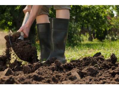 Bodenbearbeitung im Herbst: Vor- &amp; Nachteile