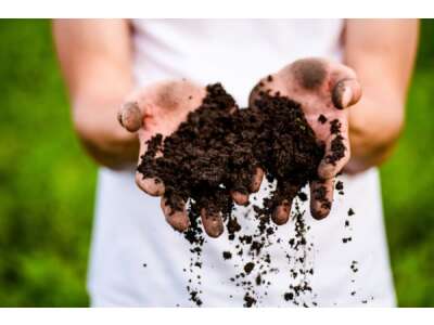 Humusgehalt im Gartenboden mit Kompost &amp; Mulch erhöhen