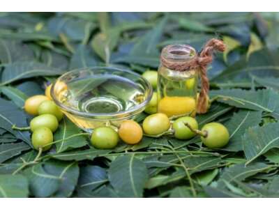 Pflanzenschutz mit Neem -  Neemöl selber herstellen