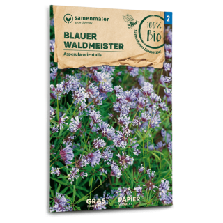 Blauer Waldmeister - Asperula orientalis - BIOSAMEN