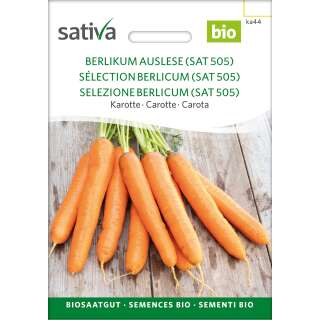 Karotte Berlikum Auslese - Daucus carota  - BIOSAMEN