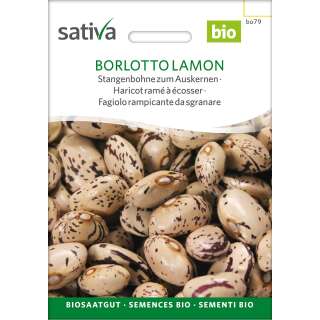 Auskernbohne Borlotto Lamon - Phaseolus vulgaris - Demeter Biologische Samen