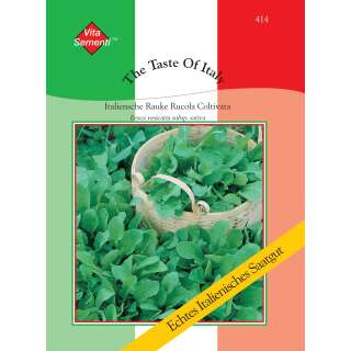 Salatrauke, Rucola Coltivata - Eruca versicaria ssp....