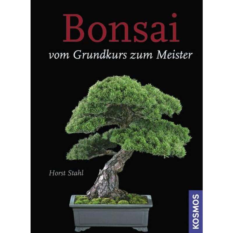 Bonsai - Vom Grundkurs zum Meister