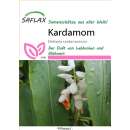 Kardamom - Elettaria cardamomum - Samen