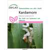 Kardamom - Elettaria cardamomum - Samen