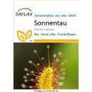 Sonnentau - Drosera capensis - Samen