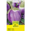 Aubergine, Eierfrucht Beatrice F1 - Solanum melongena -...