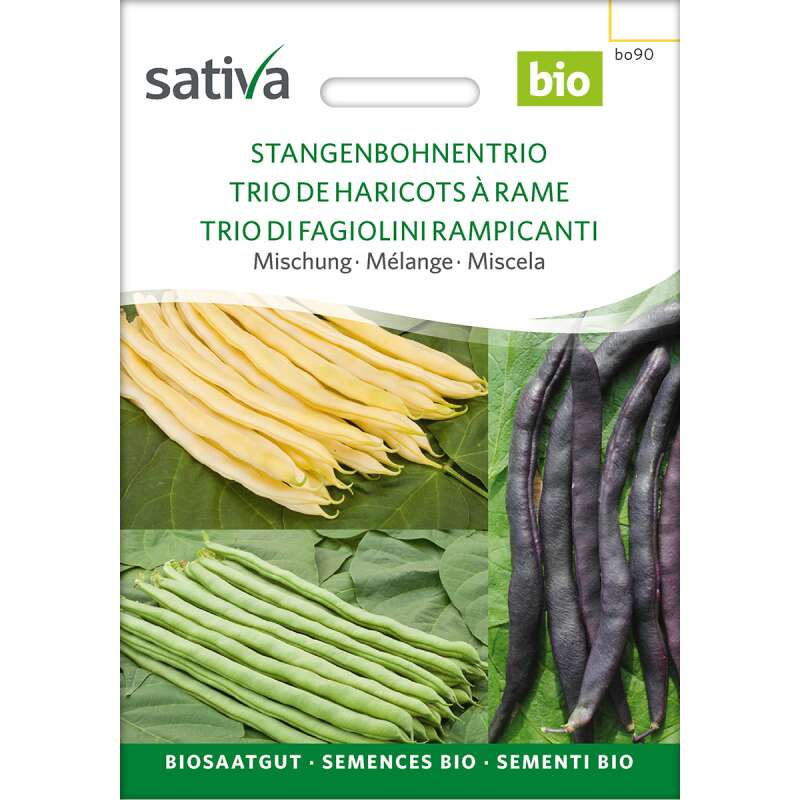 Stangenbohnen, Mischung Trio - Phaseolus vulgaris - BIOSAMEN