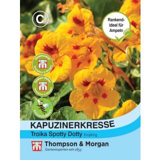 Kapuzinerkresse Troika Spotty Dotty - Tropaeolum majus -...