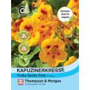 Kapuzinerkresse Troika Spotty Dotty - Tropaeolum majus - Samen