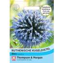 Kugeldistel, ruthenische Ritro - Echinops ritro subsp....