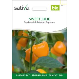 Paprika Sweet Julie - Capsicum annuum
