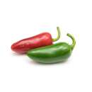 Chili, Peperoncini Jalapenos - Capsicum annuum - Demeter biologische Samen