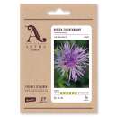 Wiesen Flockenblume - Centaurea Jacea - Demeter...