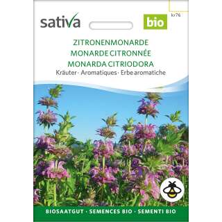 Zitronenmonarde - Monarda Citriodora - Biologische Samen