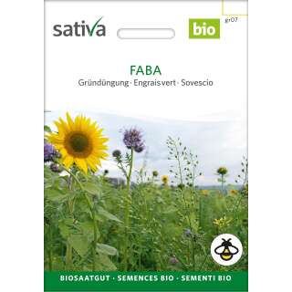 Gründüngung FABA - BIOSAMEN