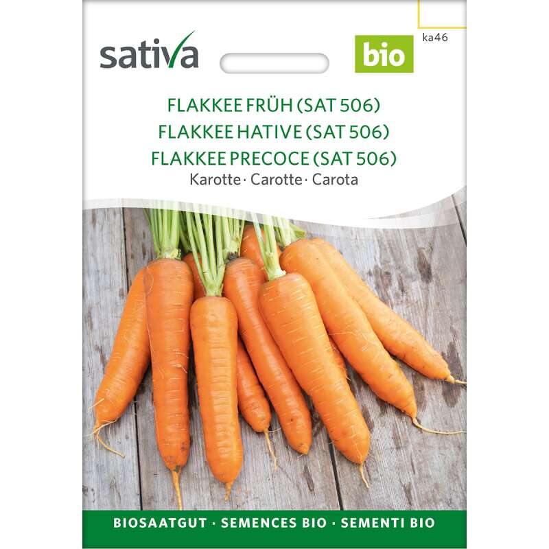 Karotte Flakkee Früh (SAT 506) - Daucus carota  - BIOSAMEN