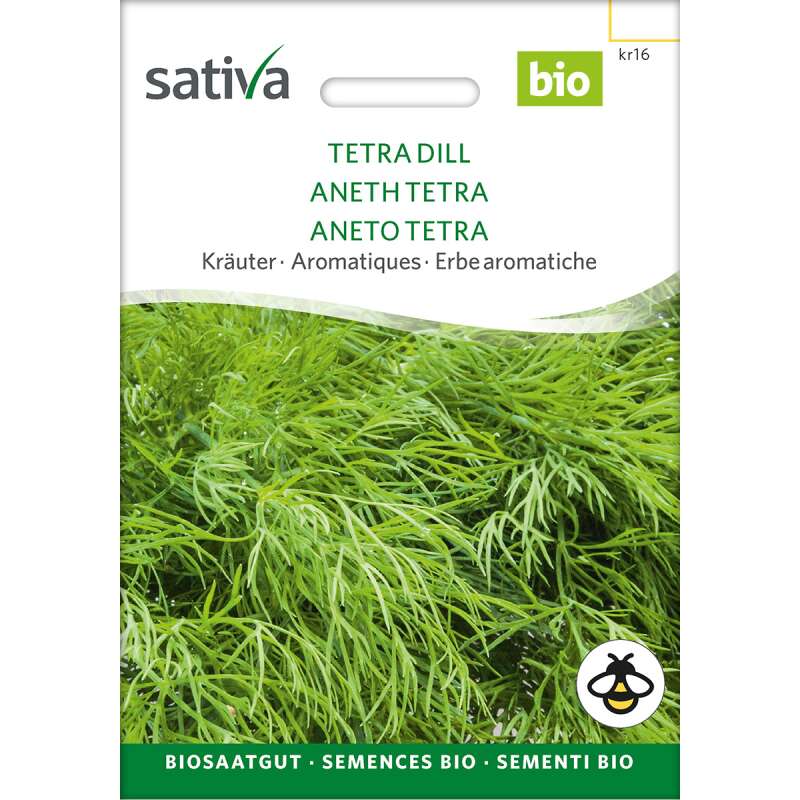 Dill Tetra - Anethum graveolens  - BIOSAMEN