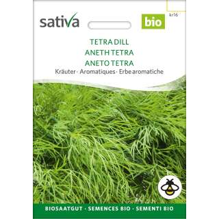 Dill Tetra - Anethum graveolens - BIOSAMEN