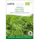 Dill Tetra - Anethum graveolens - BIOSAMEN