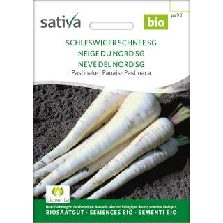 Pastinake Schleswiger Schnee SG - Pastinaca sativa - BIOSAMEN