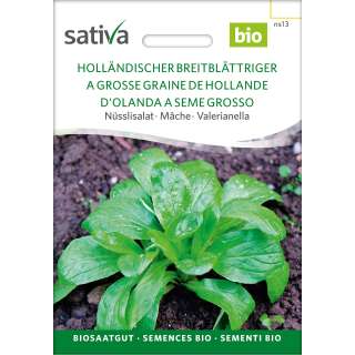 Nüsslisalat, Feldsalat Holländischer breitblättriger - Valerianella locusta - BIOSAMEN