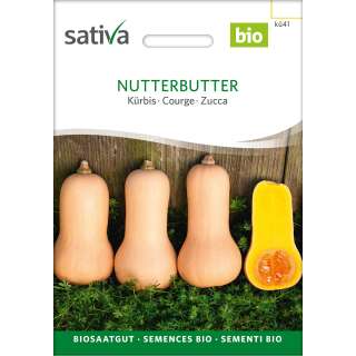 Kürbis Nutterbutter - Cucurbita moschata  - BIOSAMEN