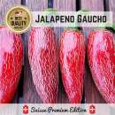 Chili Jalapeno Gaucho - Capsicum annuum  - Samen