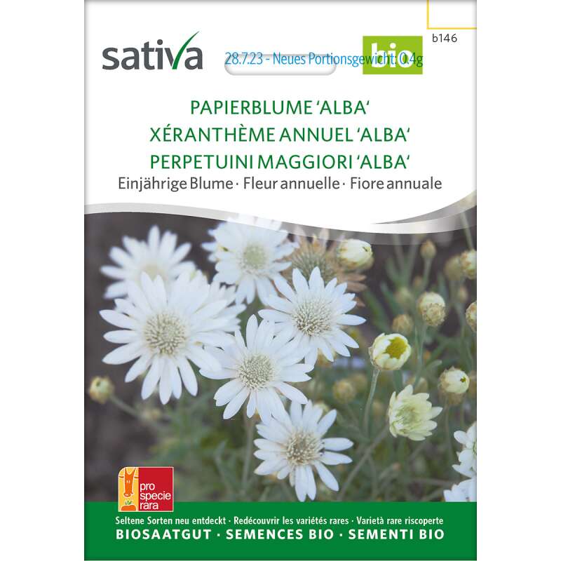 Papierblume Alba - Xeranthemum annuum - Samen