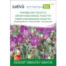Papierblume Violetta - Xeranthemum annuum - Samen