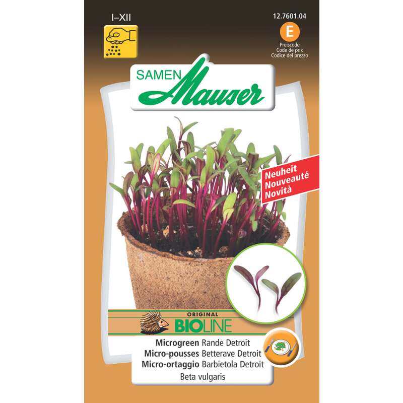 Microgreen Rande Detroit - Beta vulgaris - Samen