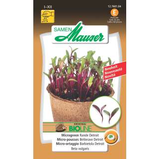 Microgreen Rande Detroit - Beta vulgaris - Samen