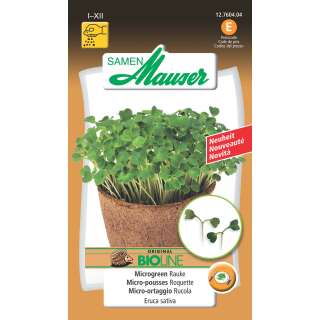 Microgreen Rauke - Eruca sativa - Samen