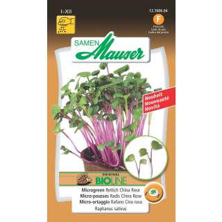 Microgreen Rettich China Rose - Raphanus sativus - Samen