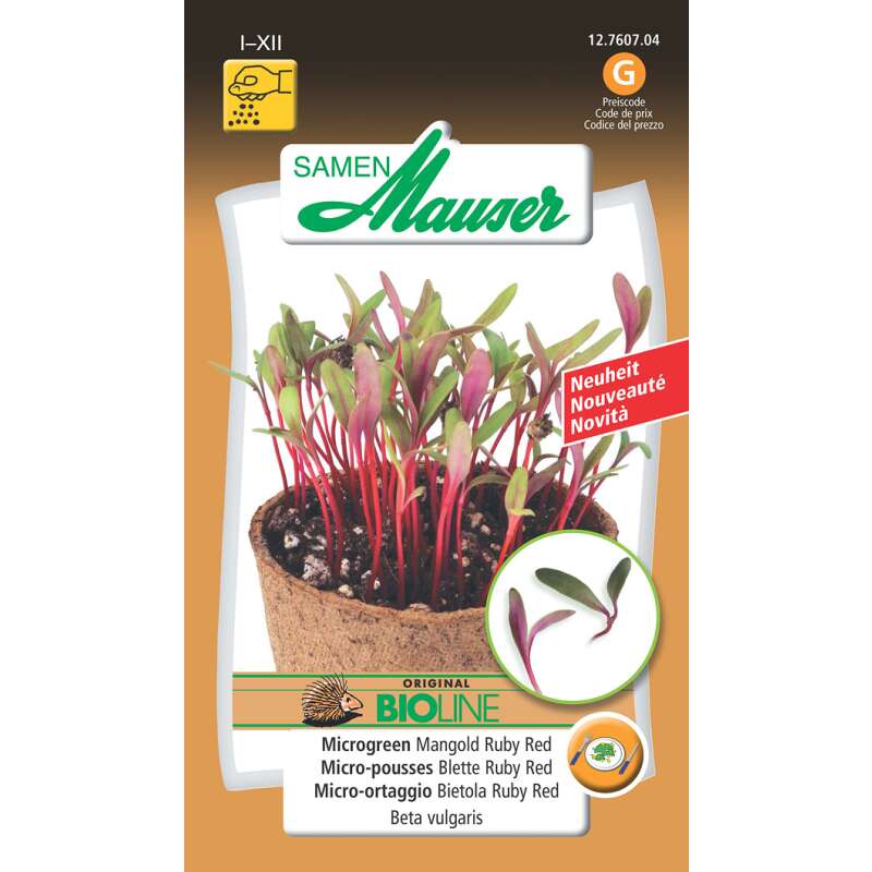 Microgreen Mangold Ruby Red - Beta vulgaris - Samen