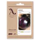 Aubergine Obsidian - Solanum melongena - Demeter Biologische Samen