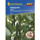 Gurke Euphya F1 PROFILINE - Cucumis sativus - Samen