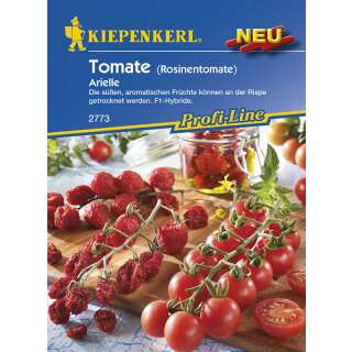 Tomate, Rosinentomate Arielle F1 - PROFILINE - Solanum...