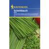 Schnittlauch Nelly - Allium schoenoprasum - Samen
