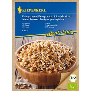 Bio-Speisekeimlinge Weizen PROFILINE - Triticum aestivum