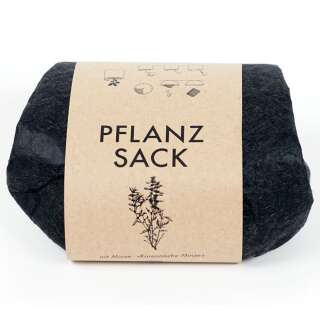 Pflanzsack koreanische Minze (Agastache)