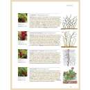 Pflanzenschnitt - das grosse Praxishandbuch
