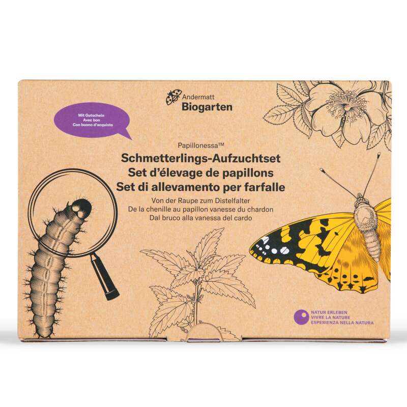 Papillonessa-Kit - für die Schmetterlingszucht