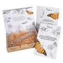 Papillonessa-Kit - für die Schmetterlingszucht