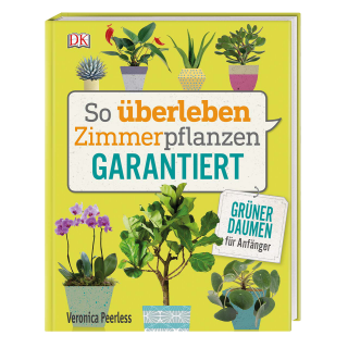 So überleben Zimmerpflanzen garantiert: Grüner Daumen für Anfänger