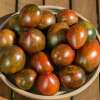 Tomate Black and Brown Boar - Solanum Lycopersicum - BIOSAMEN